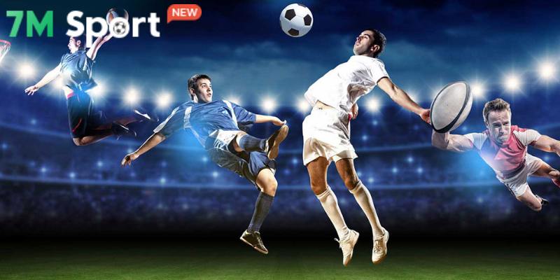 Nhà cái thể thao uy tín, giao diện trực quan